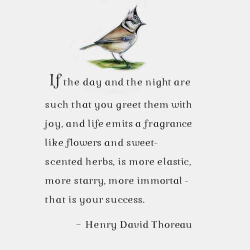 If the day and the night are such that you greet them with joy, and life emits a fragrance like flowers and sweet-scented herbs, is more elastic, more starry, more immortal --that is your success.
- Henry David Thoreau (1817-1862)