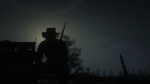 Red Dead Redemption 2_20220129105606