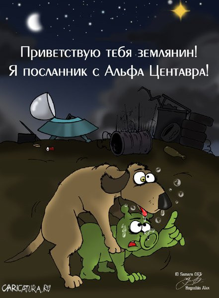 SGFZr.jpg