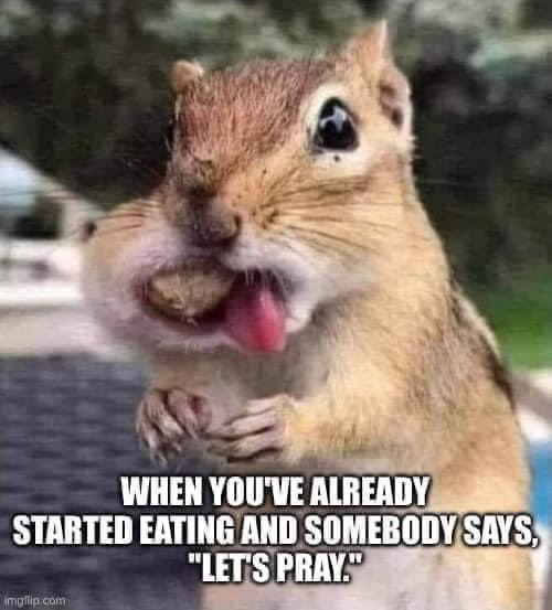 [Image: SGFyT.jpg]
