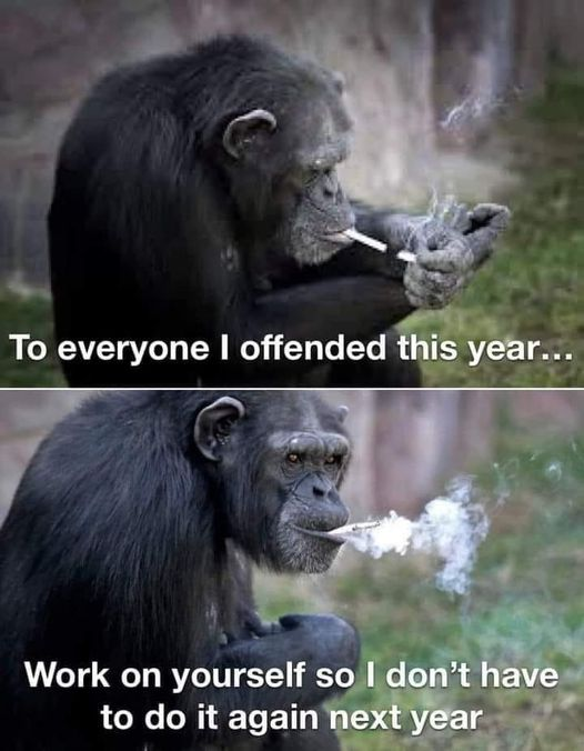 [Image: SGJO1.png]