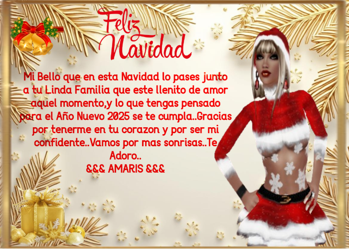SALUDO NAVIDEÑO ASTROO