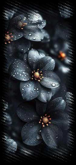 ab9fbc4c1288c3ea5f4d81a0245d3663