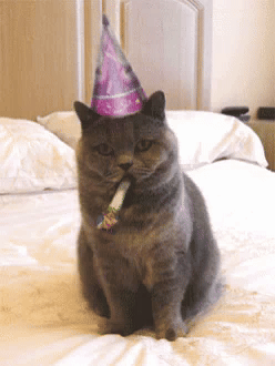 SXHfT.gif
