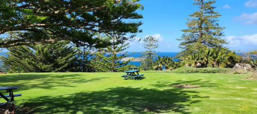 Discover Norfolk Island travel unique charm with Spacifica Travel. From pristine beaches to historic sites, enjoy the perfect blend of relaxation and exploration. Custom packages designed for every traveller. Book your Norfolk Island trip today and save big!

https://spacificatravel.com/destination/norfolk-island

#norfolkislandholiday #norfolkislandholidays #norfolkislandtravel #norfolkislandtours #norfolkislandholidaypackages #spacificatravel #norfolkislandpackages #holidaypackagestonorfolkisland #norfolkislandaccommodationpackages