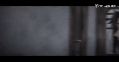 Se0ib.gif