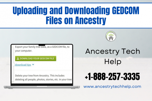 Uploading and Downloading GEDCOM Files on Ancestry