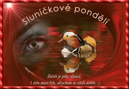 Sluníčkové pondělí