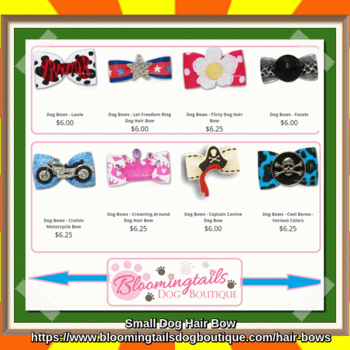You find the best bow for your lovely friend in our store. Buy beautiful bows today for your companion. https://rb.gy/kvbmon