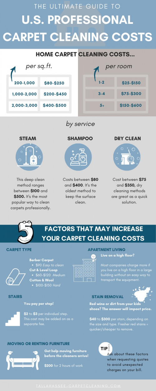 The-Ultimate-Guide-to-US-Professional-Carpet-and-Steam-Cleaning-Costs.jpg