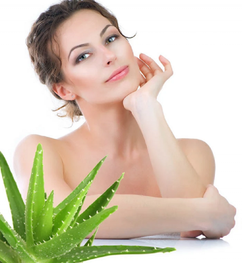 Aloe Vera can be one of the useful Natural Remedies for Polycythemia Vera. It boosts the bone marrow and aids in blood movement.... http://naturalherbsclinic.altervista.org/natural-remedies-for-polycythemia-vera/