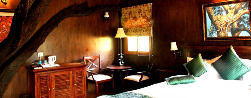 Tree-House-Resort-Jaipur.jpg