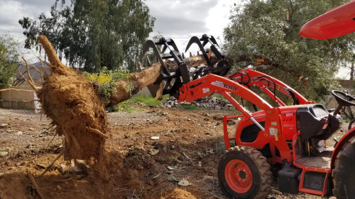If you are in need of tree removal, or you just need help removing the tree stump, Valleywide Dig and Haul is ready to help. We offer quality service at an affordable price. Whether its commercial work or residential tree removal, we can do it all. Call 602-529-5526 and let us know more about your project. We are Phoenix Arizona's best tree removal experts serving the entire Phoenix metropolitan area including Glendale, Peoria, Sun City, Sun City West, Surprise, Goodyear, Avondale, Scottsdale, Paradise Valley, Tempe, and more. FREE ESTIMATE at 602-529-5526 or visit https://valleywidedigandhaul.com/