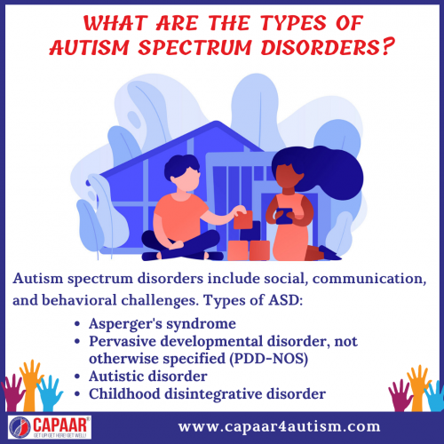 Types-of-ASD---Autism-Centres-Near-Me---Autism-Clinics-Near-Me-in-Bangalore---CAPAAR.png