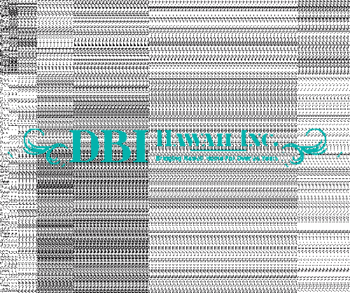 We have the best Hawaiian Quilt Wholesale at wholesale prices. DBI Hawaii has been quilting for more than 25 years, bringing you the best Handmade Hawaiian Quilts. Check out our website and grab the affordable and exciting deals. http://dbihawaii.com/wholesale-information/