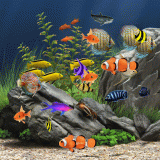 acquaposte
