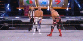 aewdon44.gif