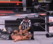 aewdon95.gif