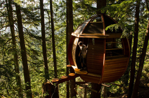 amazing treehouses 13