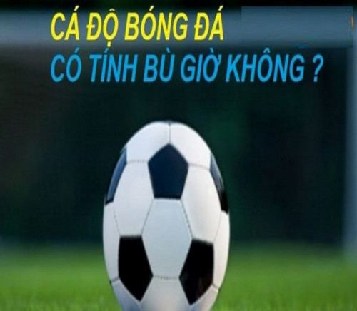 ca-do-bong-da-co-tinh-bu-gio-khong-16def7836f4515c67.jpg