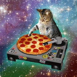 catpizza7.gif