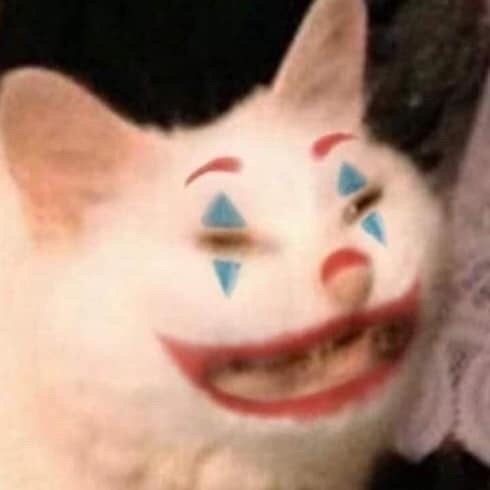 clowncat2.jpg