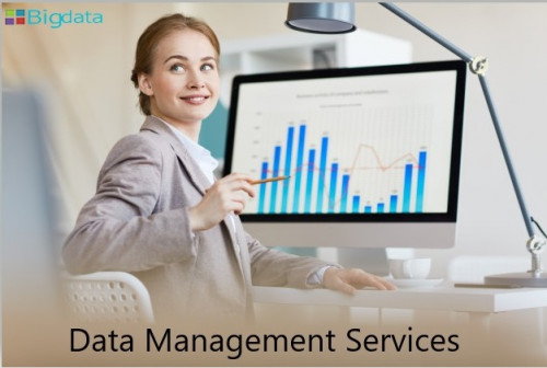 Outsourcebigdata offers end-to-end digital IT outsourcing services for our customers. We are providing wide array of outsource services including data management, data processing, data mining, data cleansing, data enrichment, web research, E-commerce catalog content management, data analytics, data conversion, and more. Our prime focus is to deliver the projects on time with best quality and we have presence in USA, Australia, Canada and India. Connect with us for your Digital IT, Data Processing and Research requirement at +1-30235 14656, +91-99524 22243.

https://outsourcebigdata.com/