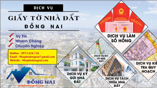 dich-v-giy-t-nha-dt-dong-nai-8.png