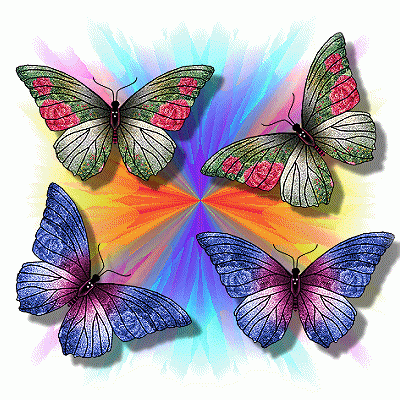 farfalle e