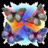 farfalle-e