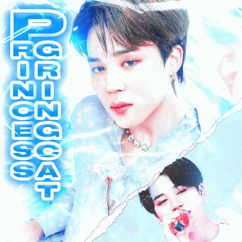 film_jimin_gringcat2.gif