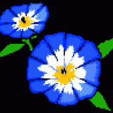 fiori113blu