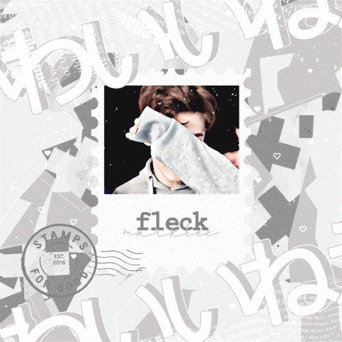 fleckee5b8442812d39cc.gif