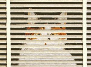 gatt image
