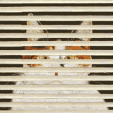 gatt-image