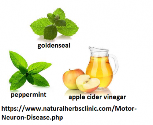 Goldenseal, Peppermint, and also Apple Cider Vinegar are very effective elements used in Natural Remedies for Motor Neuron Diseases. These may assist to stimulate hunger and advance the release of hydrochloric acid in the abdomen... http://naturalherbsclinic.booklikes.com/post/2847655/natural-remedies-for-motor-neurone-disease