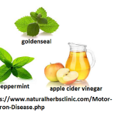 goldenseal-peppermint-apple-cider-vinegar