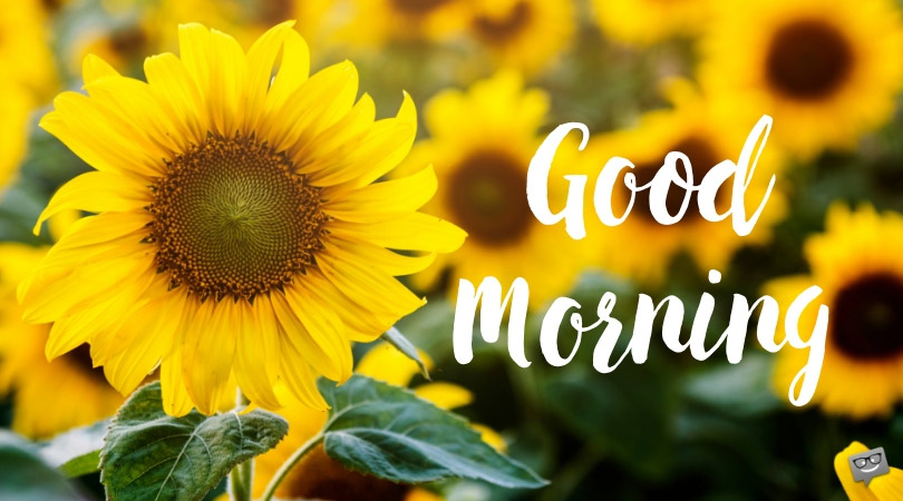 goodmorning1.jpg
