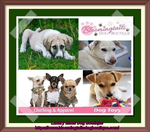 Wide range of fashion at our Luxury Dog Boutique consists designer dog clothes, collars, carriers, toys, dog beds and all type of unique apparel are available. Visit Bloomingtails Dog Boutique to check our brand new collections of dog products.
https://www.bloomingtailsdogboutique.com/