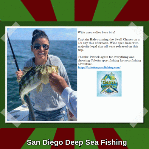Let us take you to the one of the exotic & most inexhaustible fishing spots in San Diego Bay. In this San Diego Fishing spots you catch fish like Yellofin, Tuna, Bigeye Tuna, Marlin, Mahi Mahi and many more fish species. We at ColettaSportfishing charters experience you the best deep sea fishing with a great safety. Book your charter today & enjoy the trip.
https://colettasportfishing.com/