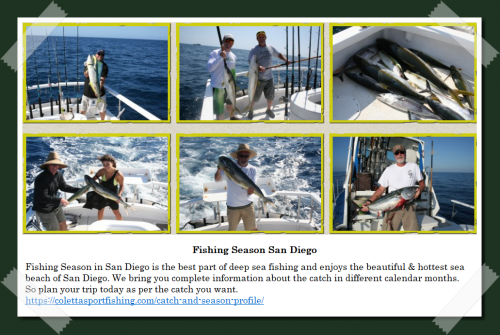 Fishing Season in San Diego is the best part of deep sea fishing and enjoys the beautiful & hottest sea beach of San Diego. We bring you complete information about the catch in different calendar months. So plan your trip today as per the catch you want.
https://colettasportfishing.com/catch-and-season-profile/
