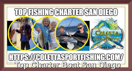Coletta Sport Fishing Charters is the best deep sea fishing charter and charter boat service provider located in one of the hottest Sportfishing. For more information visit our website, https://colettasportfishing.com/