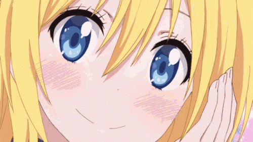 ins24.gif