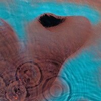 meddle200.jpg
