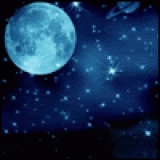 moonlight-20