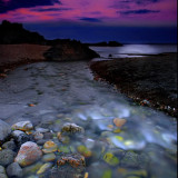 moonlight