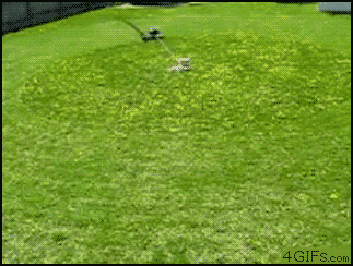 mowng.gif
