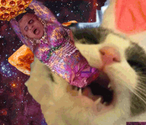 pizzaquarkzcatz300.gif