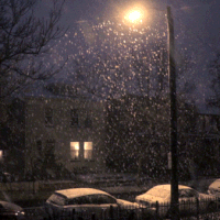 snow3_200.gif