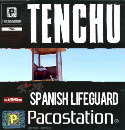 tenchu.jpg